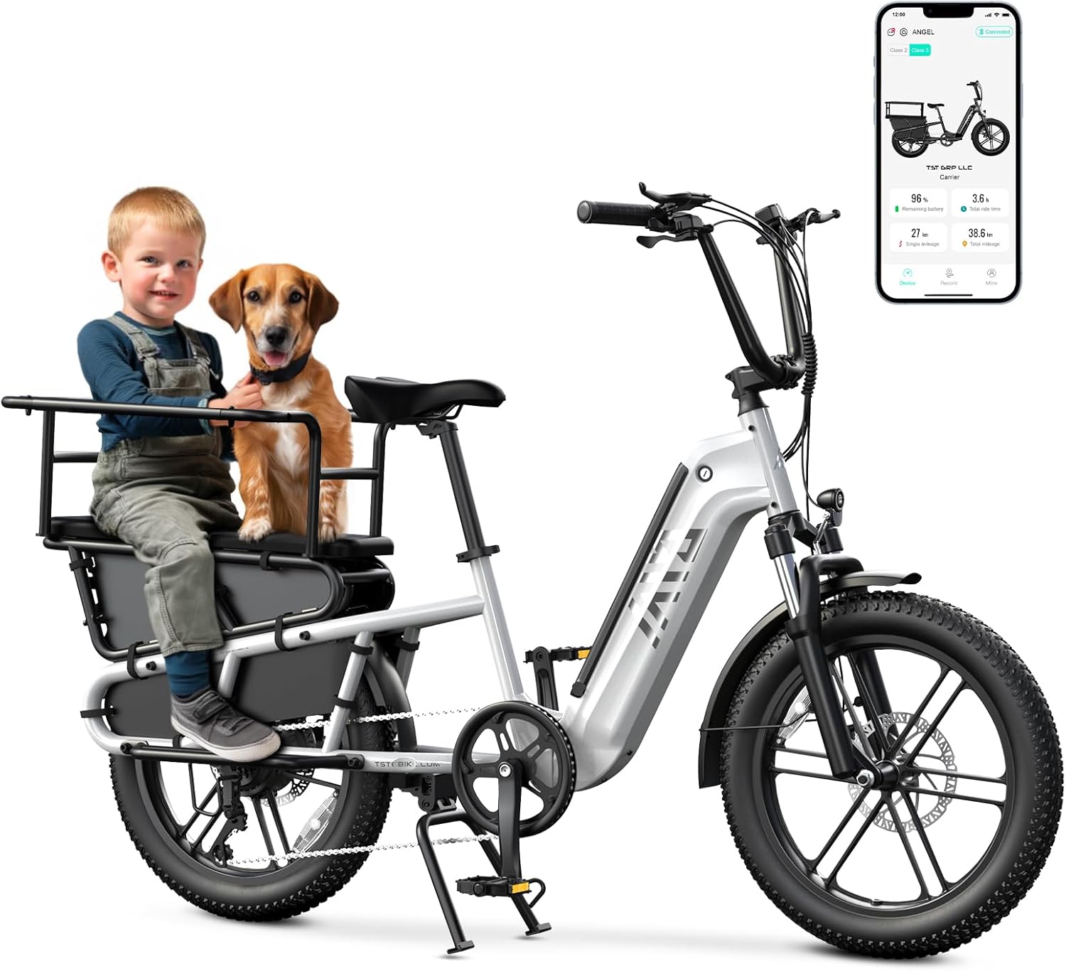 Electric Bike for Adults, 1500W Peak Motor Ebike with 48V 15Ah
