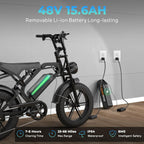 V20/V29 Series Electric Bike for Adults