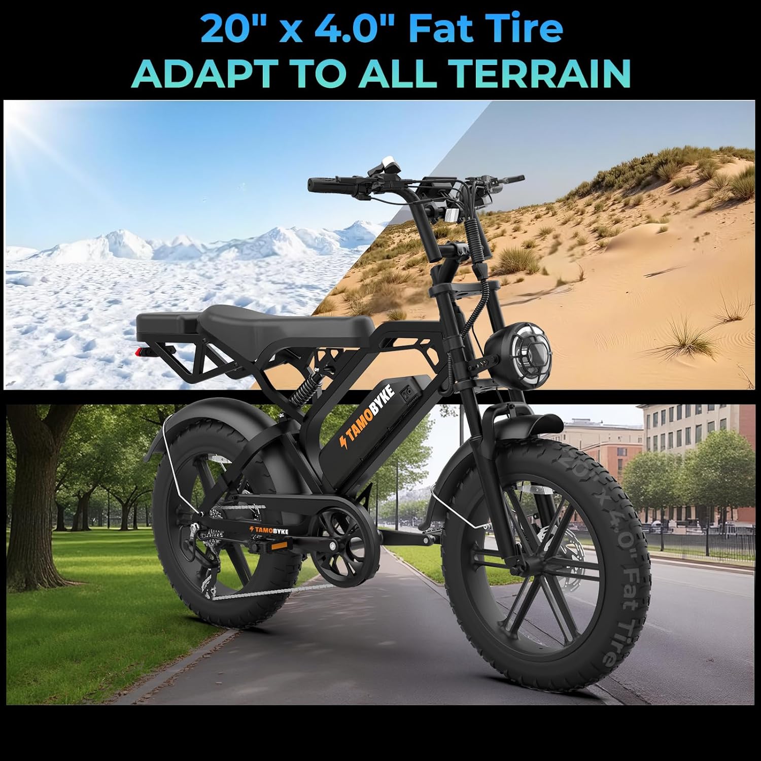 V20/V29 Series Electric Bike for Adults